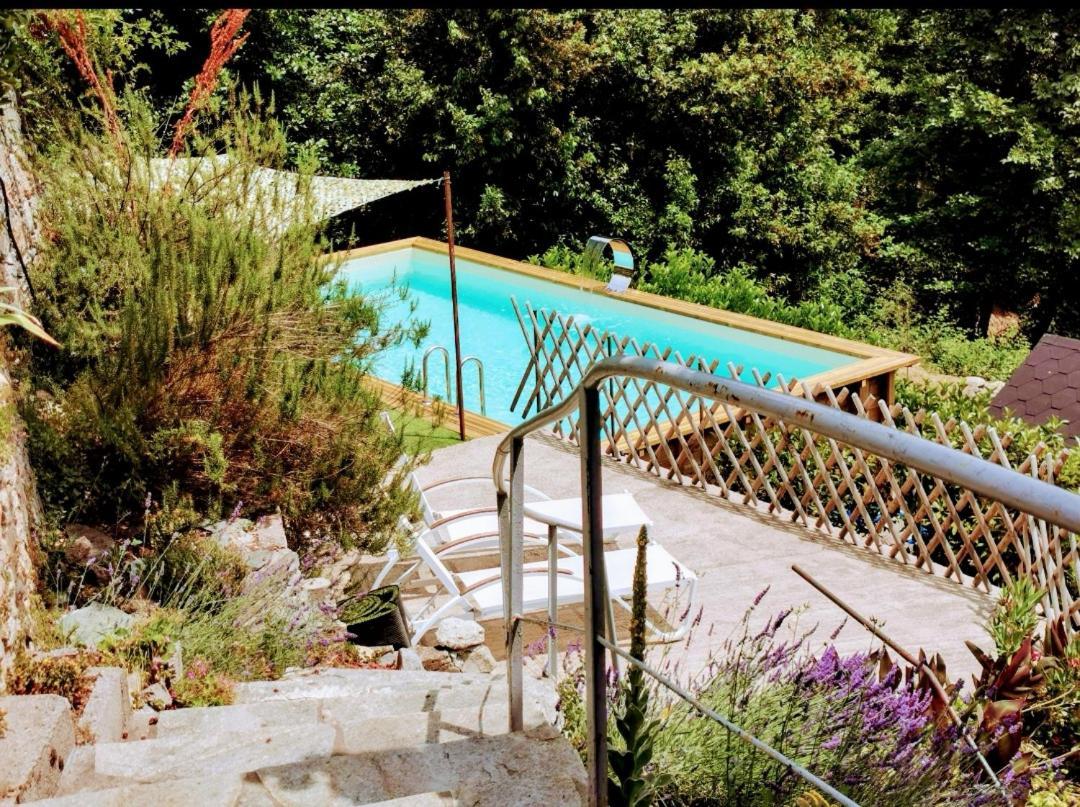 Gîte casa di l'Apa Venaco  Esterno foto