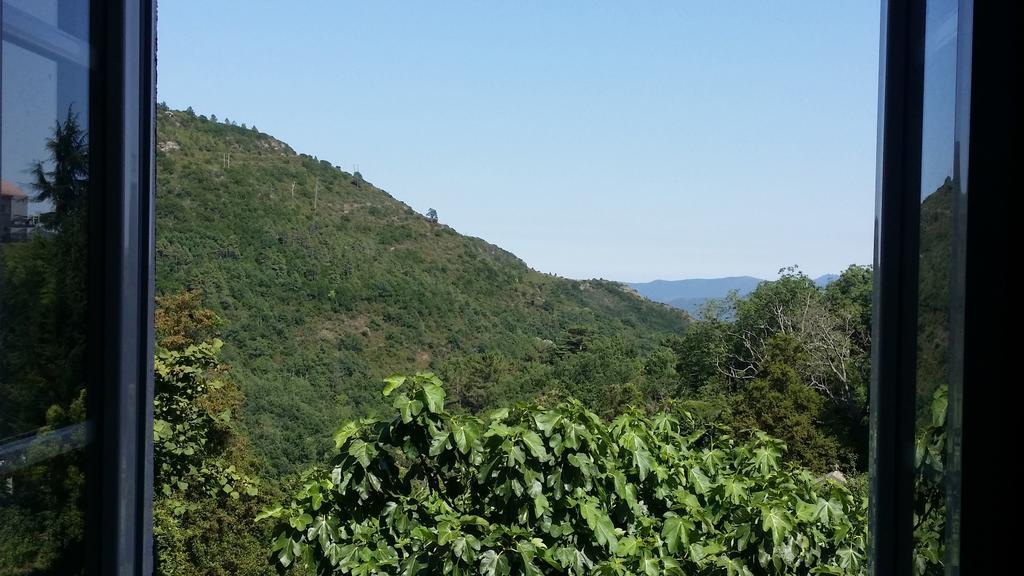 Gîte casa di l'Apa Venaco  Esterno foto